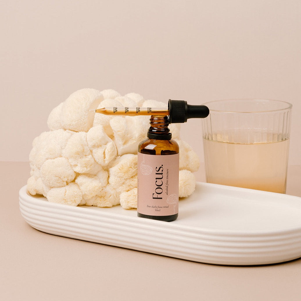 Focus Tincture *alcohol free